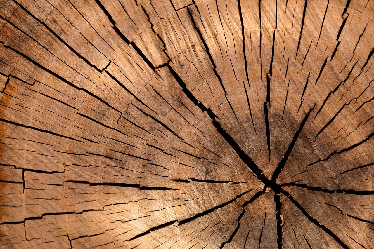 Quel est le budget à prévoir pour une fendeuse à bois horizontale ?